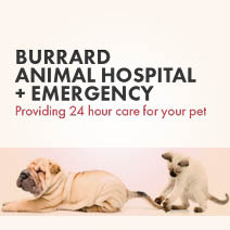 Burrard Animal Hospital
